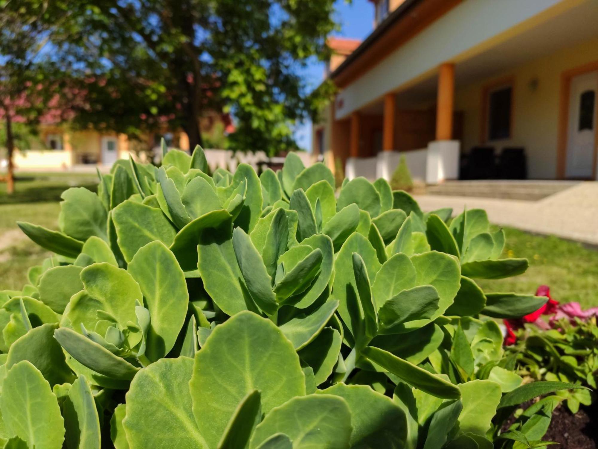 Ubytovanie Liska Radava Bagian luar foto